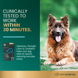 Vet Strength Calm & Confident Soft Chews for Dogs 60 ct
