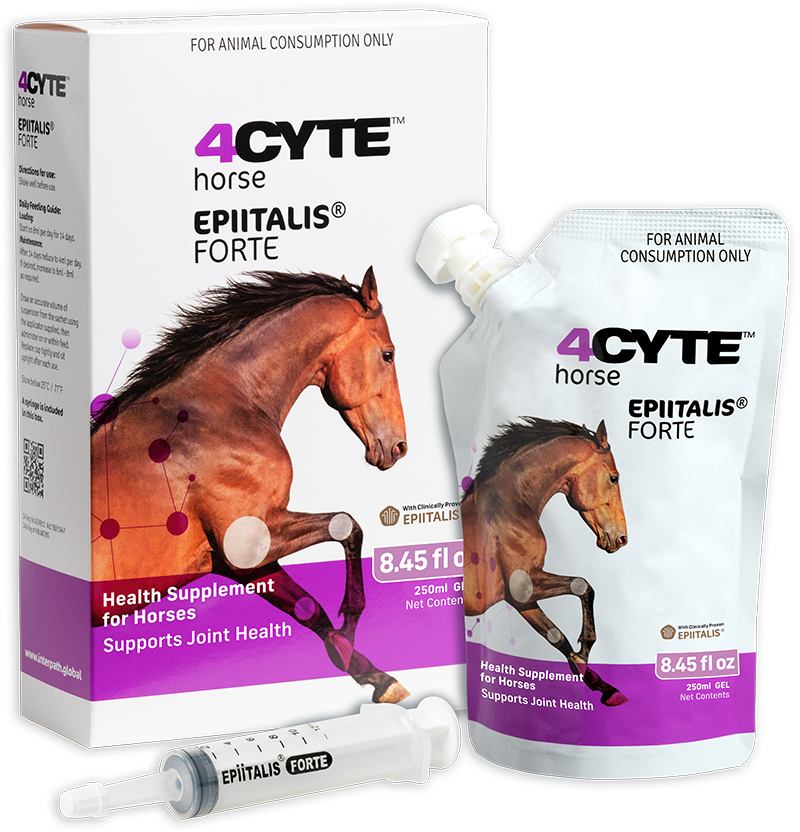 4CYTE Epiitalis® Forte Oral Gel for Horses – Saratoga Horse Rx