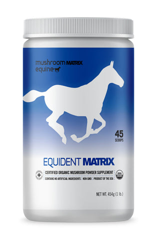 Equident Matrix Dental Supplement