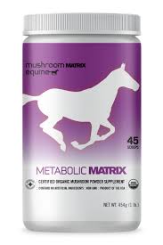 Metabolic Matrix Mushroom Supplement