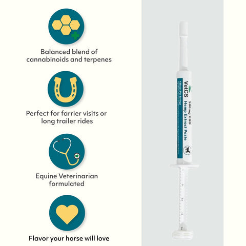 VetCS CBD Horse Paste, 500mg per syringe