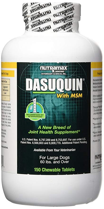 Nutramax dasuquin with msm for large dogs best sale