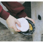 Animalintex Hoof Poultice 5.5"x5.5"-Horse-Saratoga Pet Rx-Saratoga Horse Rx