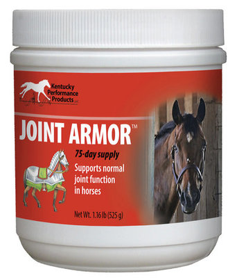 Joint Armor for Horses, 525gm-horse-Saratoga Pet Rx-Saratoga Horse Rx