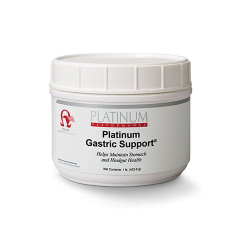 Platinum Gastric Support - with Probiotics – Saratoga Horse Rx